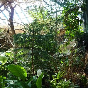 Islands - Walk-Through Aviary