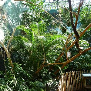 Islands - Walk-Through Aviary