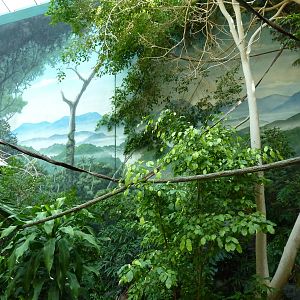 Islands - Walk-Through Aviary