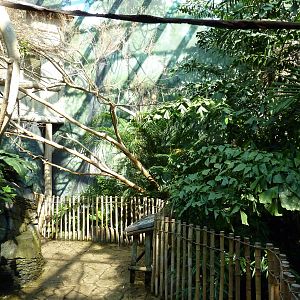 Islands - Walk-Through Aviary