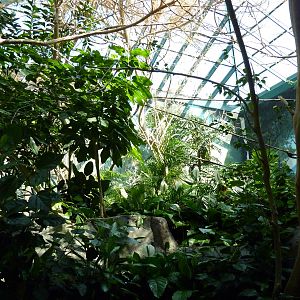 Islands - Walk-Through Aviary
