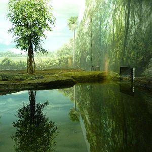 Islands - Cuban Crocodile Exhibit