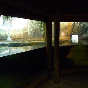 Islands - Cuban Crocodile Exhibit