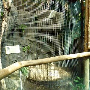 HerpAquarium - Burmese Python Exhibit