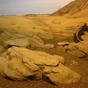 HerpAquarium - Mexican Beaded Lizard Exhibit