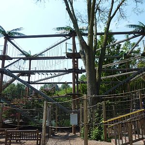 Sky Trail - High Adventure Rope Course