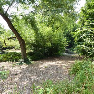 Chilean Flamingo/Crested Screamer Exhibit