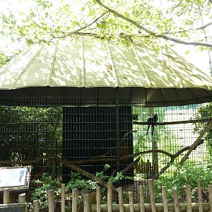 Hyacinth Macaw Exhibit
