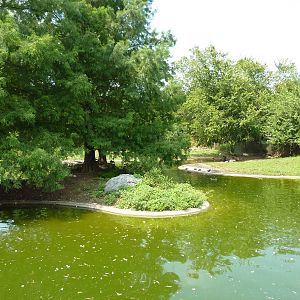 Rhea/Guanaco Exhibit