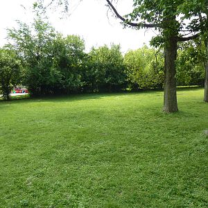 Rhea/Guanaco Exhibit
