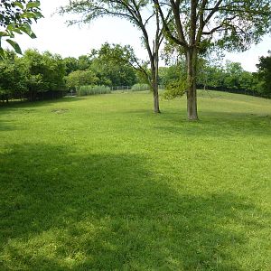 Rhea/Guanaco Exhibit