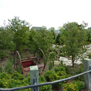 Glacier Run - Entrance Area