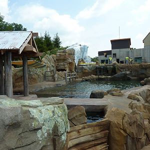 Glacier Run - California Sea Lion/Harbour Seal/Grey Seal Exhibit