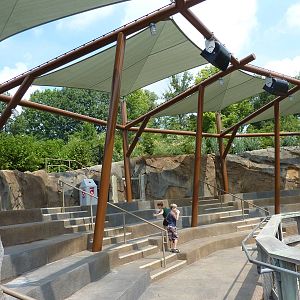 Glacier Run - California Sea Lion/Harbour Seal/Grey Seal Theater