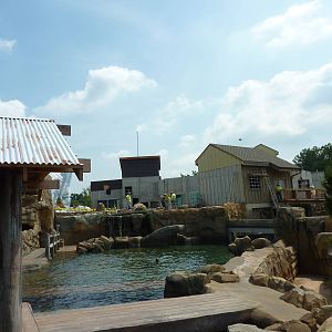 Glacier Run - California Sea Lion/Harbour Seal/Grey Seal Exhibit