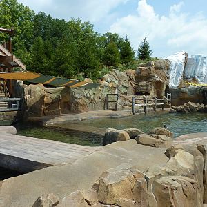 Glacier Run - California Sea Lion/Harbour Seal/Grey Seal Exhibit
