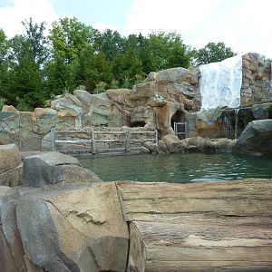 Glacier Run - California Sea Lion/Harbour Seal/Grey Seal Exhibit