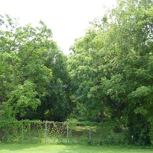 Red-Crowned Crane Exhibit