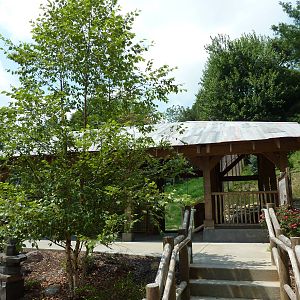 Amur Tiger Exhibit - Viewing Platform