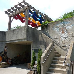 Amur Tiger Exhibit - Viewing Platform