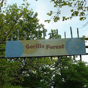 Gorilla Forest - Entrance Sign
