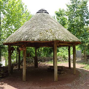 Gorilla Forest - Rest Area