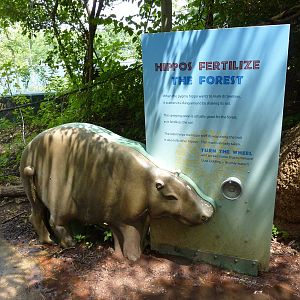 Gorilla Forest - Pygmy Hippo Statue