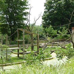 Woolly Monkey Exhibit