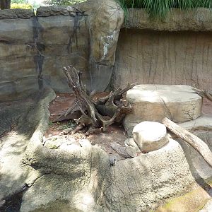 Meerkat Exhibit