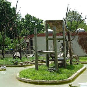 Woolly Monkey Exhibit