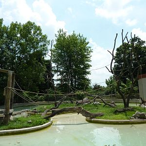 Woolly Monkey Exhibit