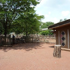 Boma African Petting Zoo