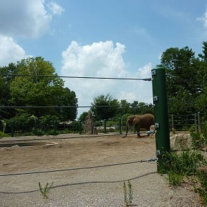 African/Asian Elephant Exhibit