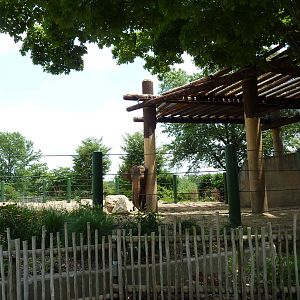 African/Asian Elephant Exhibit