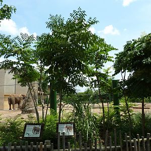 African/Asian Elephant Exhibit
