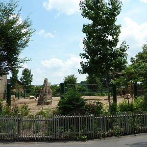 African/Asian Elephant Exhibit