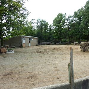 Dromedary Exhibit