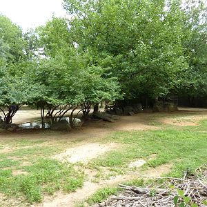 Mhorr Gazelle/Ostrich Exhibit