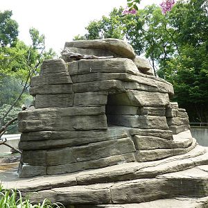 Ring-Tailed/Black/Black-and-White Ruffed Lemur Rock