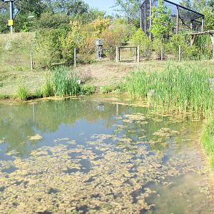African Journey - White Pelican Pond