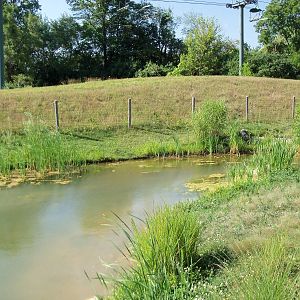 African Journey - White Pelican Pond