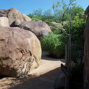 African Journey - Visitor Pathway