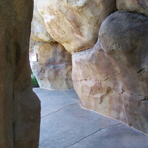 African Journey - Visitor Pathway