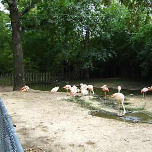 LRZ - Miscellaneous Scenery