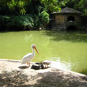 LRZ - Miscellaneous Scenery