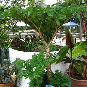 LRZ - Miscellaneous Scenery