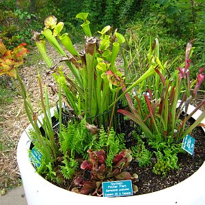 LRZ - Miscellaneous Scenery