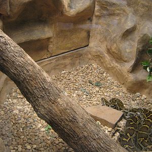 LRZ - Reptiles/Amphibians/Invertebrates