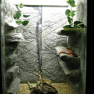 LRZ - Reptiles/Amphibians/Invertebrates