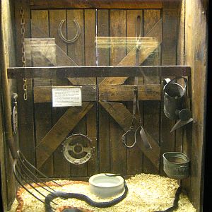 LRZ - Reptiles/Amphibians/Invertebrates